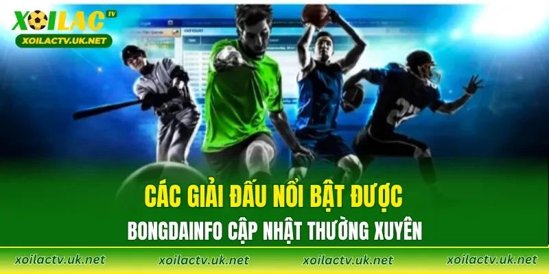 Các giải đấu nổi bật được Bongdainfo cập nhật thường xuyên