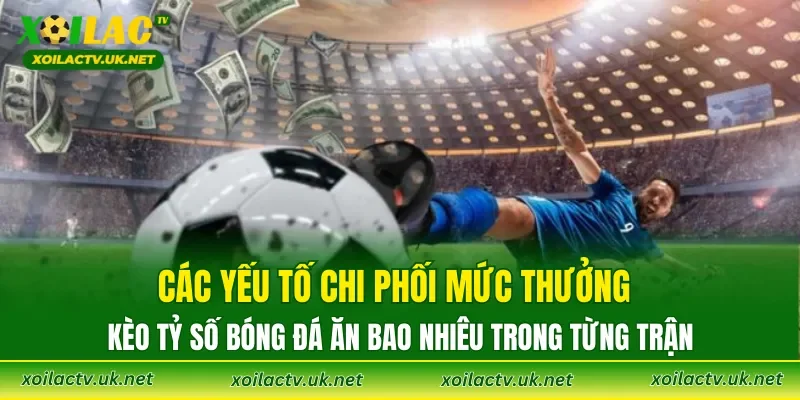 Các yếu tố chi phối mức thưởng kèo tỷ số bóng đá ăn bao nhiêu trong từng trận