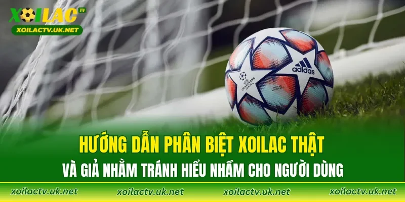 Hướng dẫn phân biệt XOILAC thật và giả nhằm tránh hiểu nhầm cho người dùng