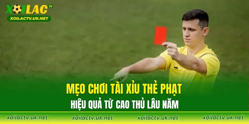 Mẹo chơi tài xỉu thẻ phạt hiệu quả từ cao thủ lâu năm